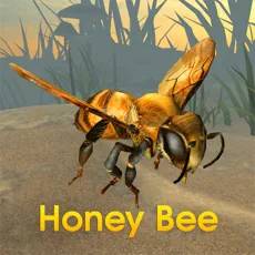 Honey Bee Simulato‪r