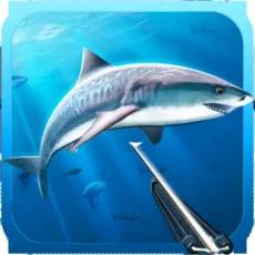 Hunter underwater spearfishin‪g‬