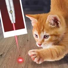 Laser Point For Cat Jok‪e‬