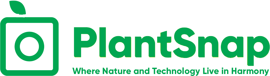 PlantSnap - identify plants