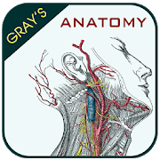 Gray's Anatomy - Anatomy Atlas 2020