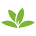 Plantnet Plant Identification App