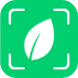 Plantyx App Logo